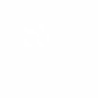 flocon-de-neige-blanc-5871