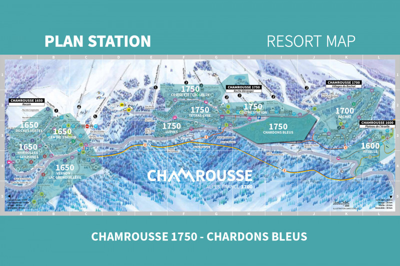 Chamrousse 1750 - Roche Béranger : Chardons bleus