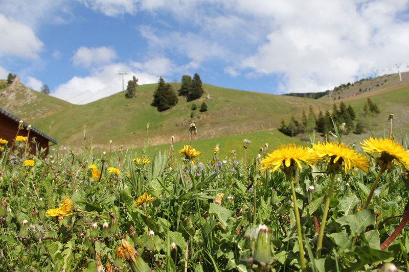Week-end du 23, 24 et 25 mai