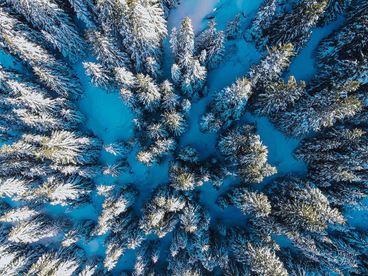 Chamrousse forest fir snow pine cembraie vertical view drone winter mountain ski resort  french alps france