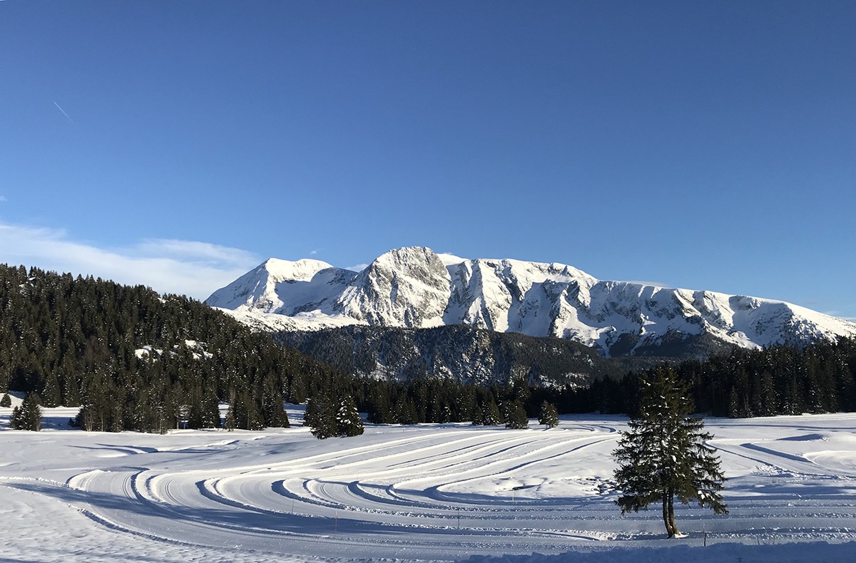 Chamrousse Nordic Park - Arselle plateau - cross-country skiing