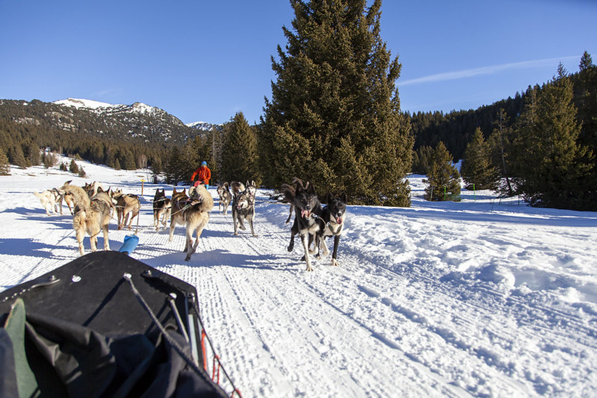 Chamrousse baptême chiens traineau balade station ski montagne grenoble isère alpes france - © Ann David