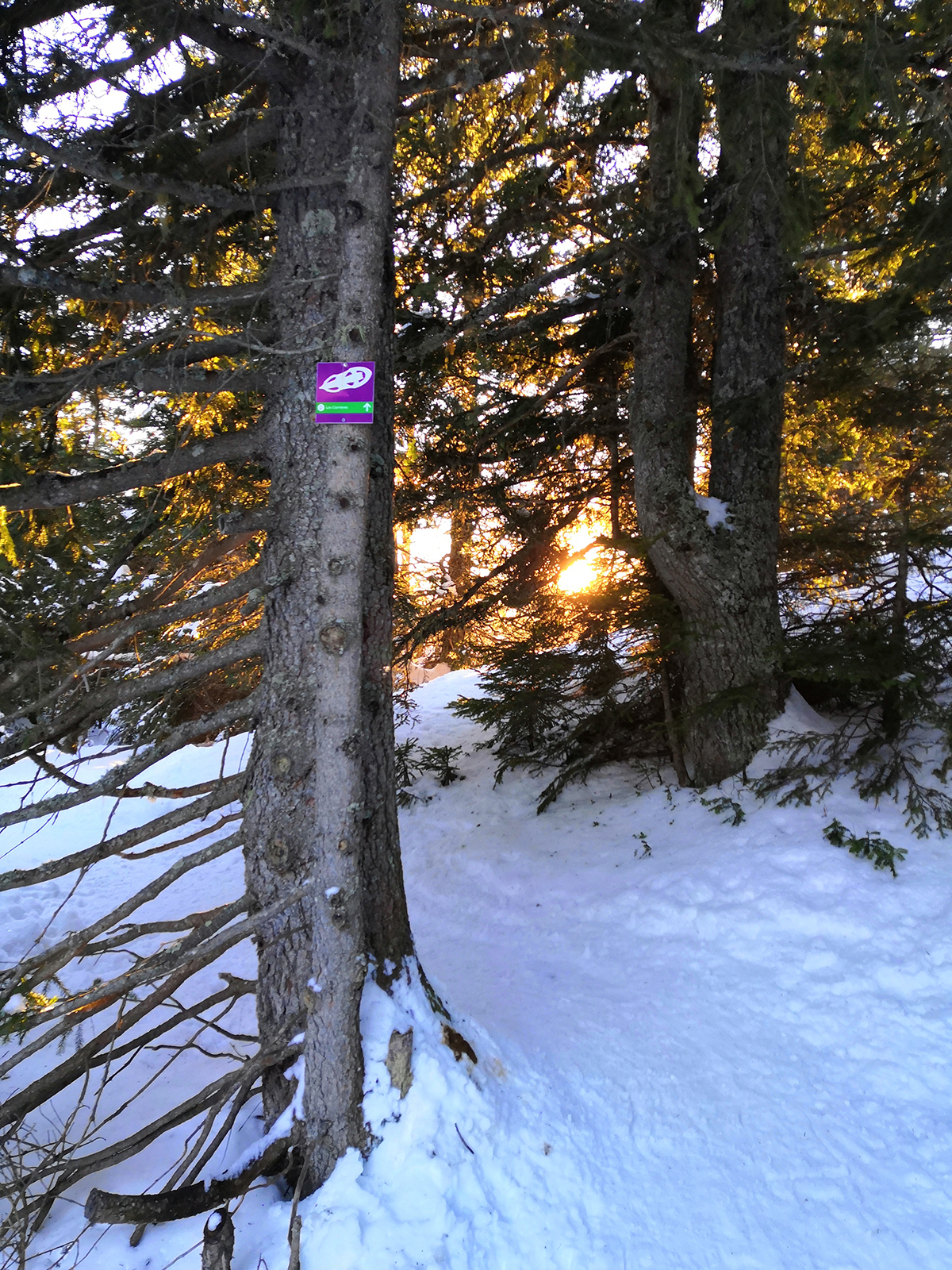 Chamrousse balade coucher soleil en amoureux plateau arselle station montagne ski grenoble isère alpes france - © EM - OT Chamrousse