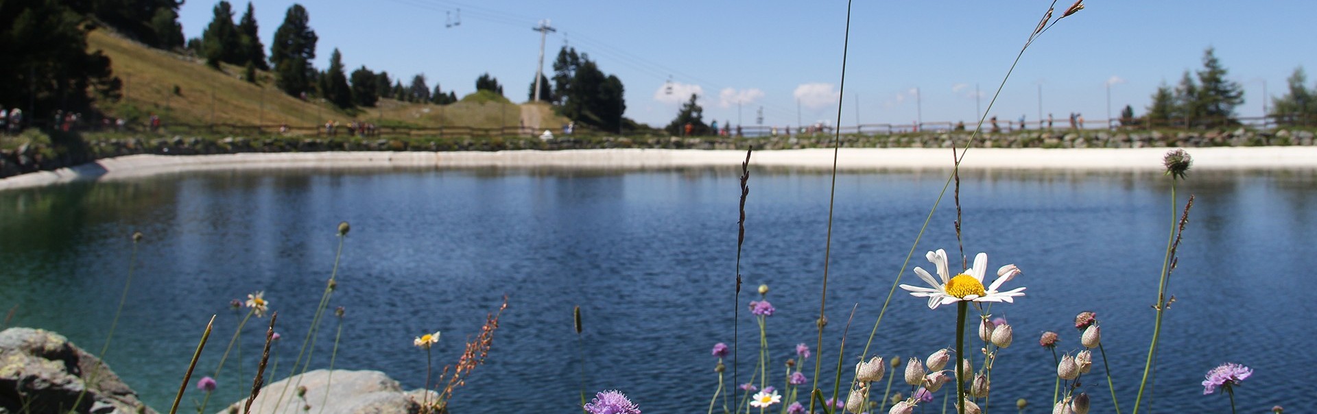 Chamrousse lac vallons fleur printemps été station montagne grenoble isère alpes france - &copy; CP - OT Chamrousse