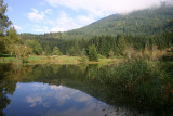 L'image montre un lac calme entouré d'arbres. En arrière-plan, on peut voir une colline boisée.