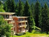 Résidence Les villages du Bachat - with swimming pool and restaurant Chamrousse