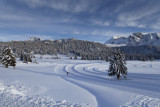 Photo du plateau de l'Arselle en hiver