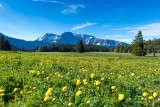 Plateau de l'Arselle en été