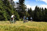 Mountainbike Pfad Chamrousse