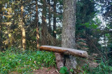 Banc sculpté sur le sentier du renard Chamrousse 1650-1750