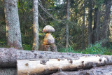 Champignon sculpté sur le sentier du renard Chamrousse 1650-1750