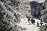 Pré Gaudet