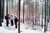 Géocaching hiver