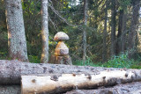 Geschnitzter Pilz auf dem Fuchspfad Chamrousse 1650-1750