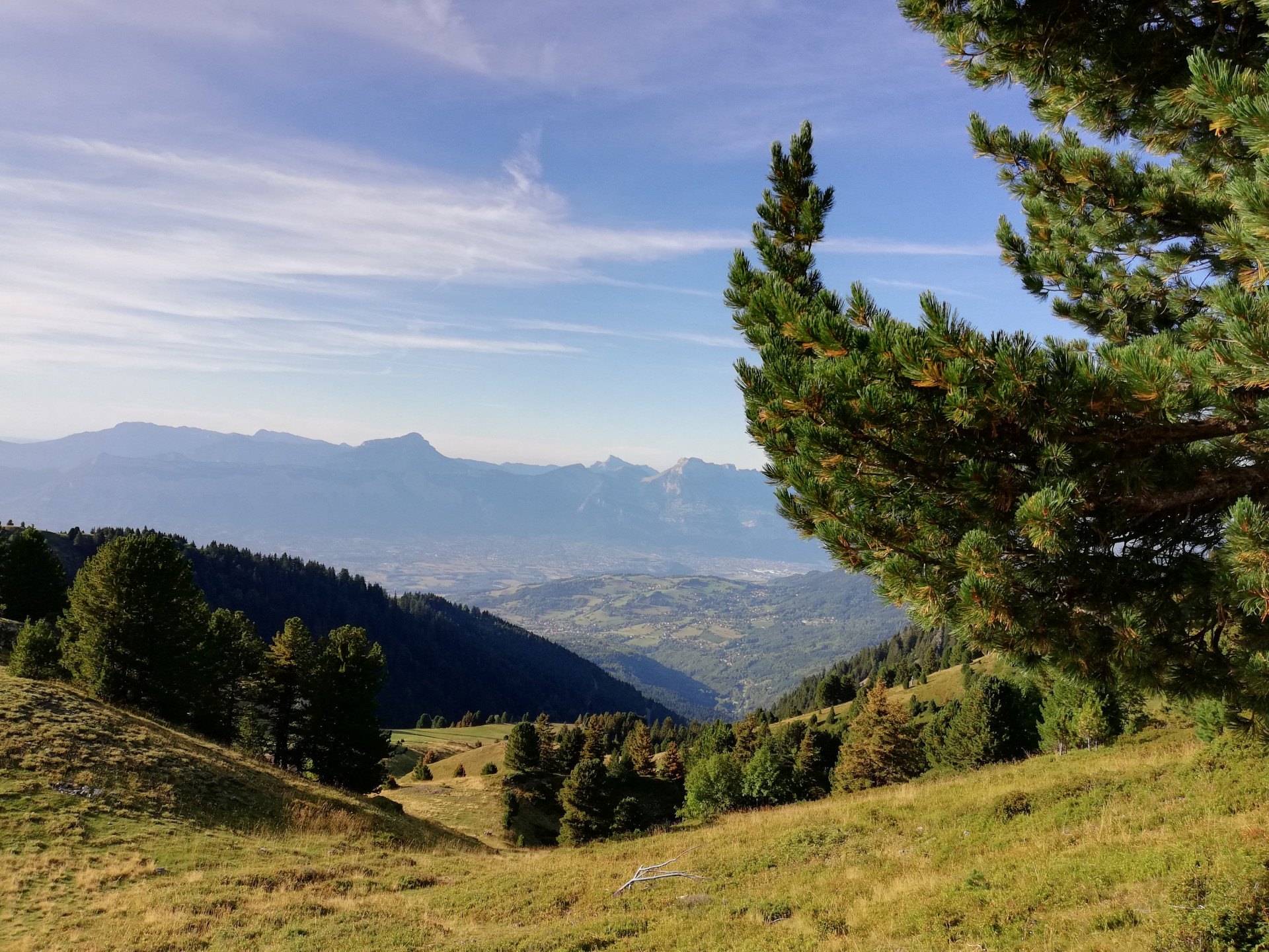 Ramettes - © Clara Pointet Ramettes