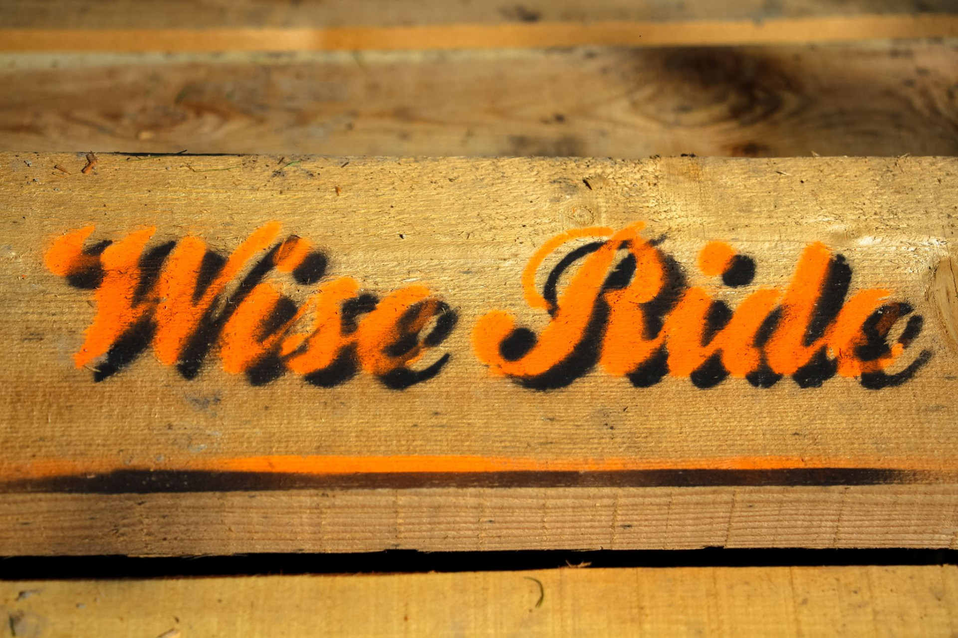 Entreprise Wise ride Entreprise Wise ride