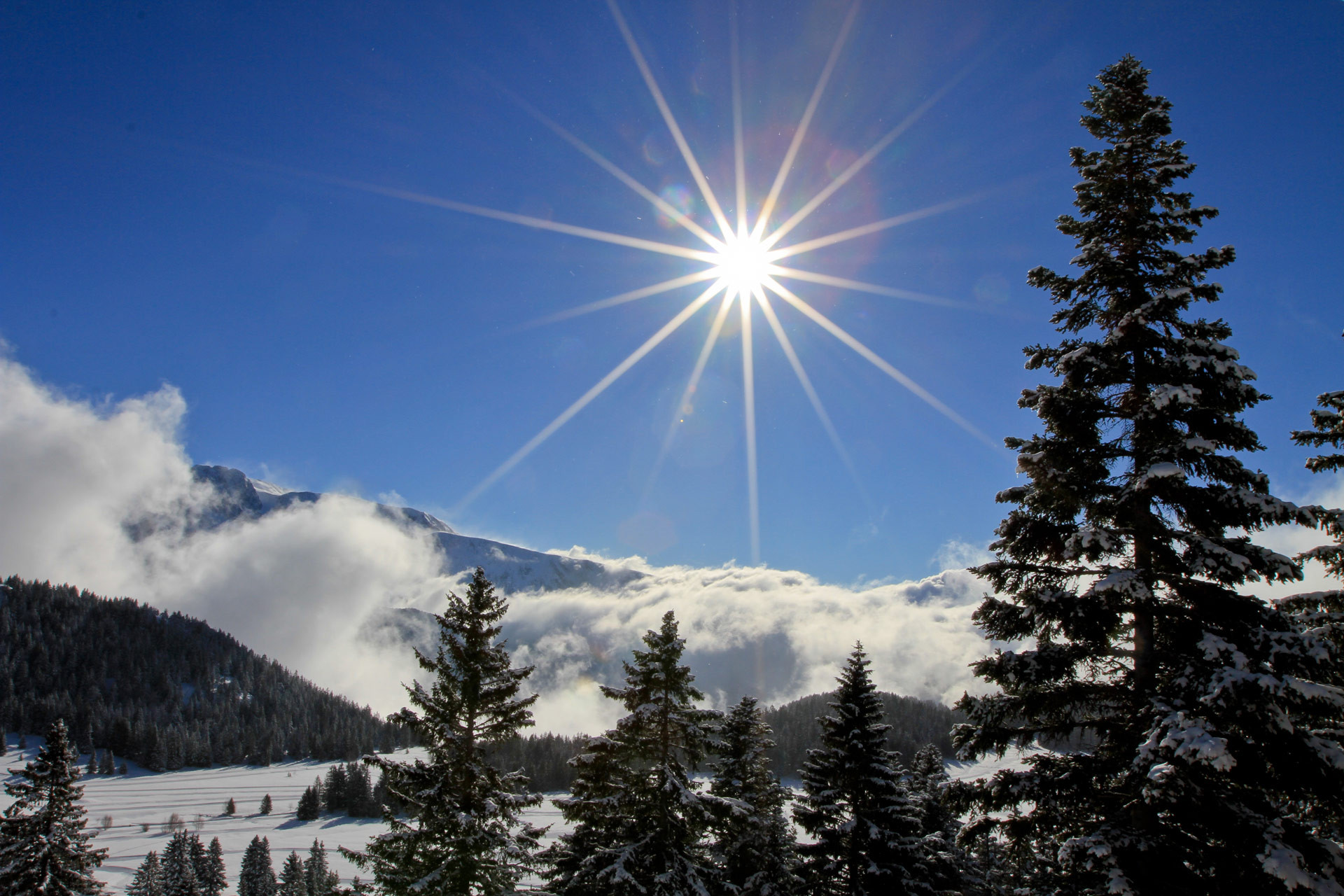 Chamrousse Arselle plateau - © Julien Jay - Chamrousse Chamrousse Arselle plateau