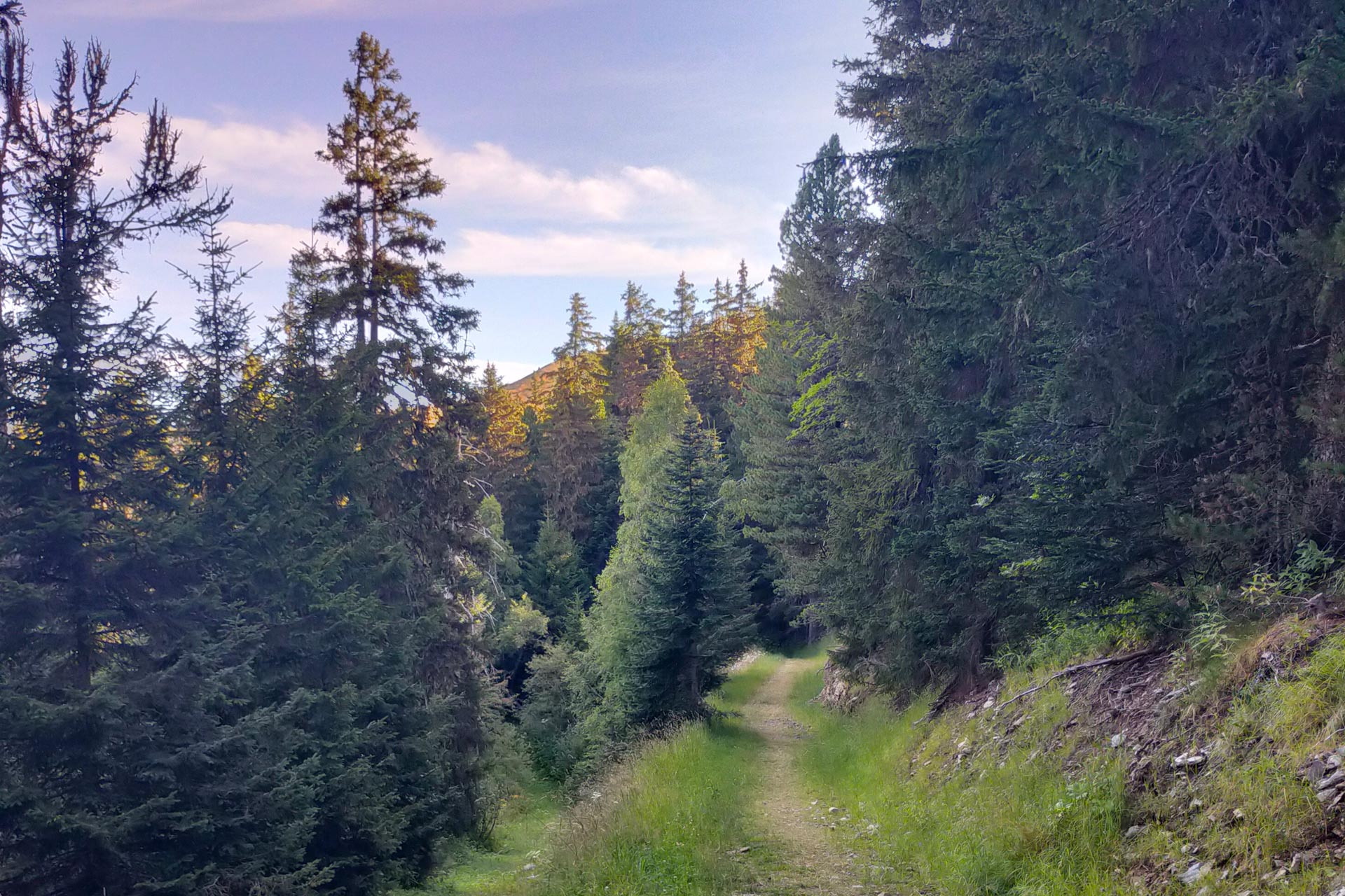 Fox trail Chamrousse 1650-1750