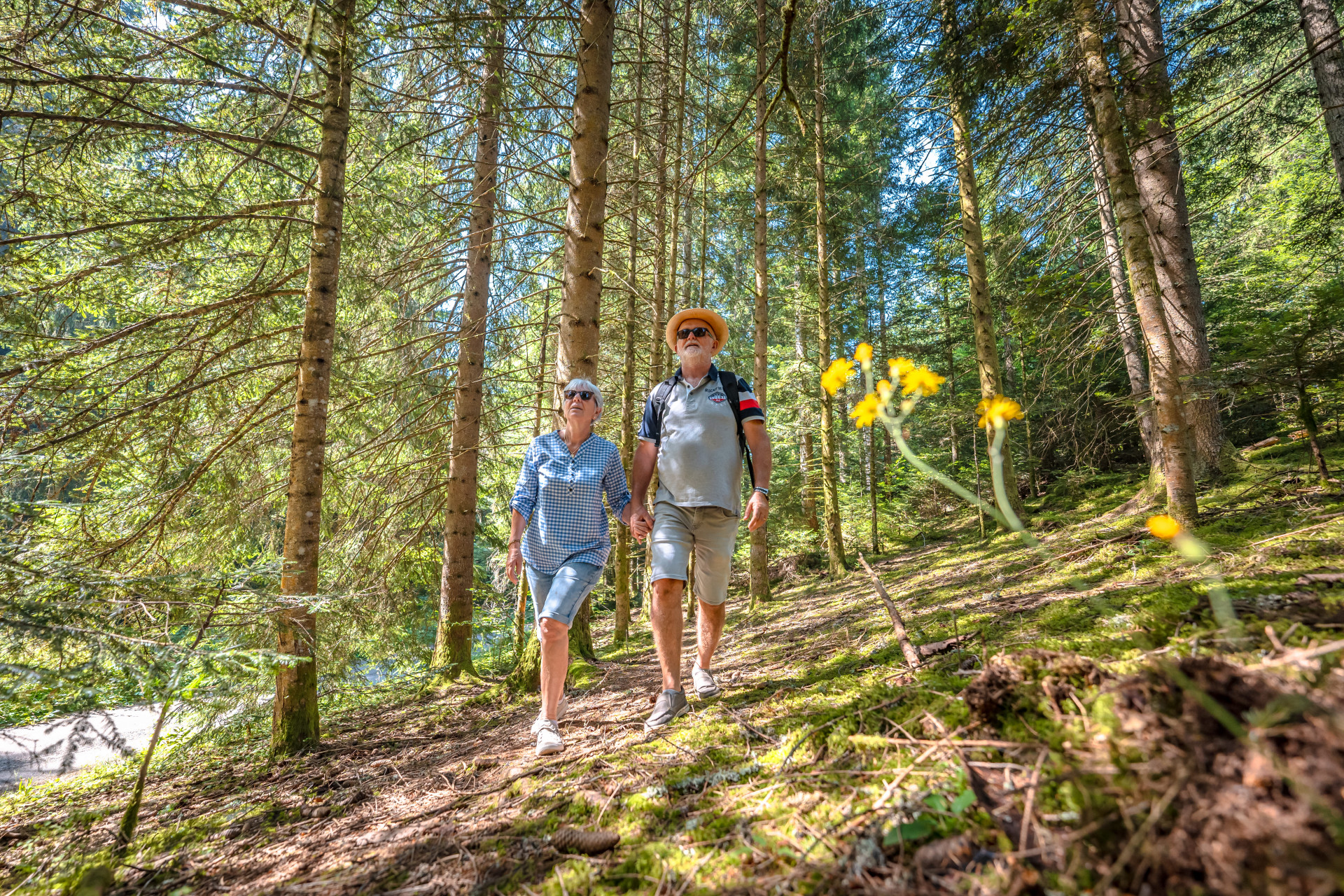 Un couple se promenant sur les chemins de la forêt des Seiglières.