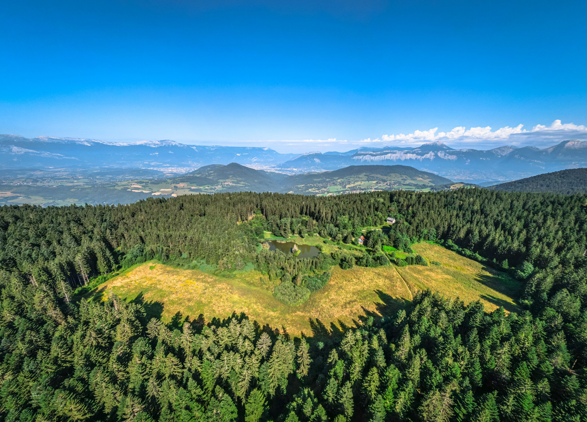 L'image montre une vaste étendue de forêt avec un petit lac au milieu. On peut voir des montagnes en arrière-plan.
