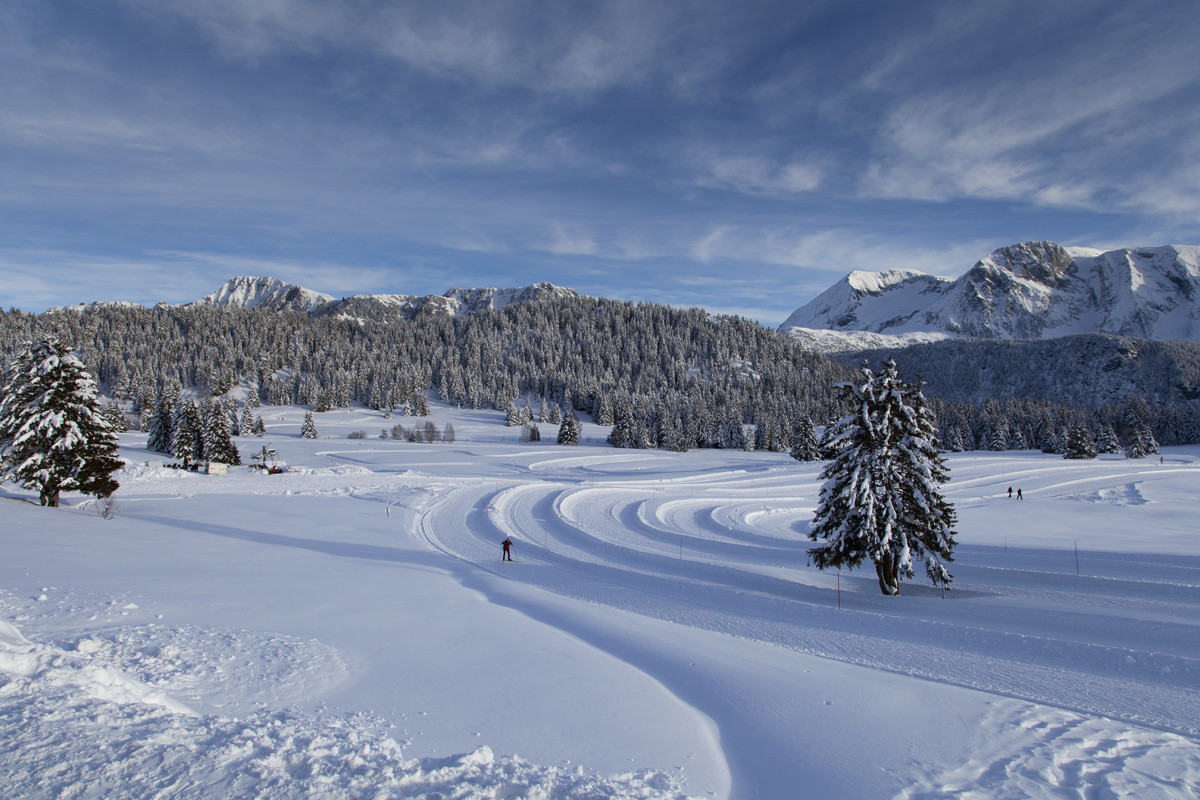 Photo du plateau de l'Arselle en hiver