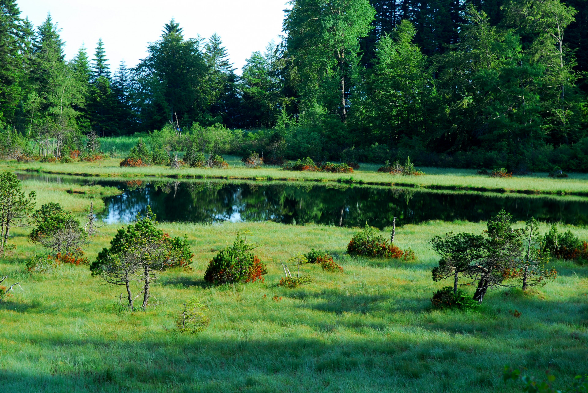 Réserve Naturelle du Lac Luitel Réserve Naturelle du Lac Luitel