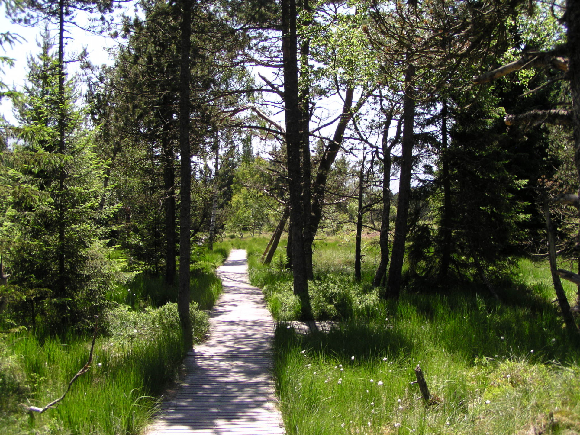 Réserve Naturelle du Lac Luitel Réserve Naturelle du Lac Luitel