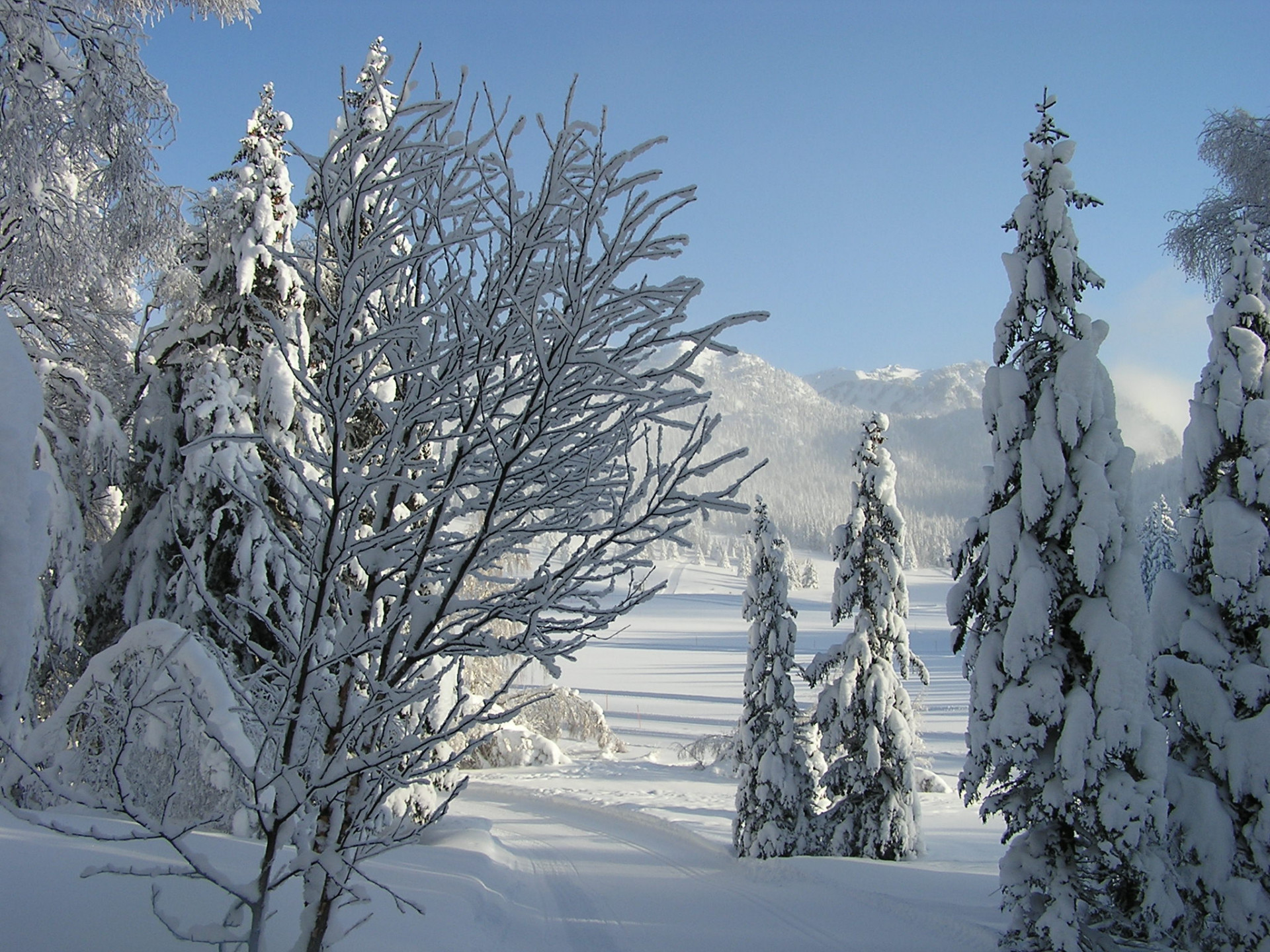 Plateau de l'Arselle Chamrousse - © OT Chamrousse Plateau de l'Arselle Chamrousse