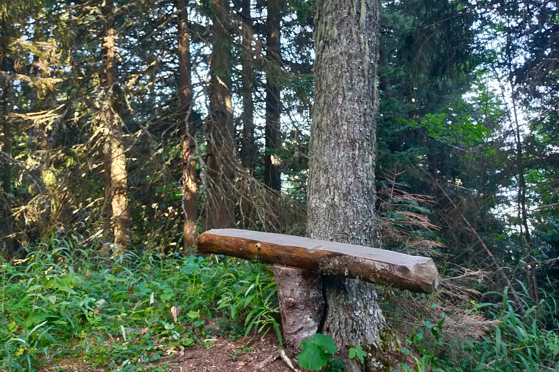 Banc sculpté sur le sentier du renard Chamrousse 1650-1750 - © FB - OT Chamrousse Banc sculpté sur le sentier du renard Chamrousse 1650-1750