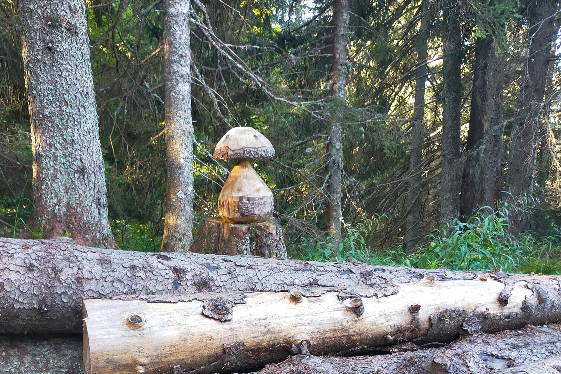 Champignon sculpté sur le sentier du renard Chamrousse 1650-1750 - © FB - OT Chamrousse Champignon sculpté sur le sentier du renard Chamrousse 1650-1750