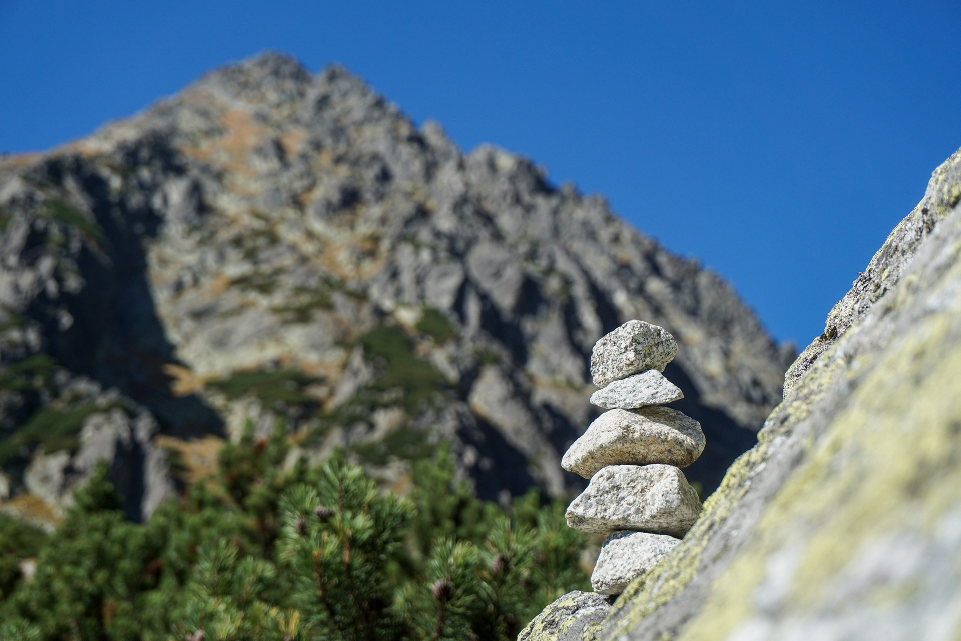 Coaching sportif et mental personnalisé Chamrousse - © Magnific - Wirestock Coaching sportif et mental personnalisé Chamrousse
