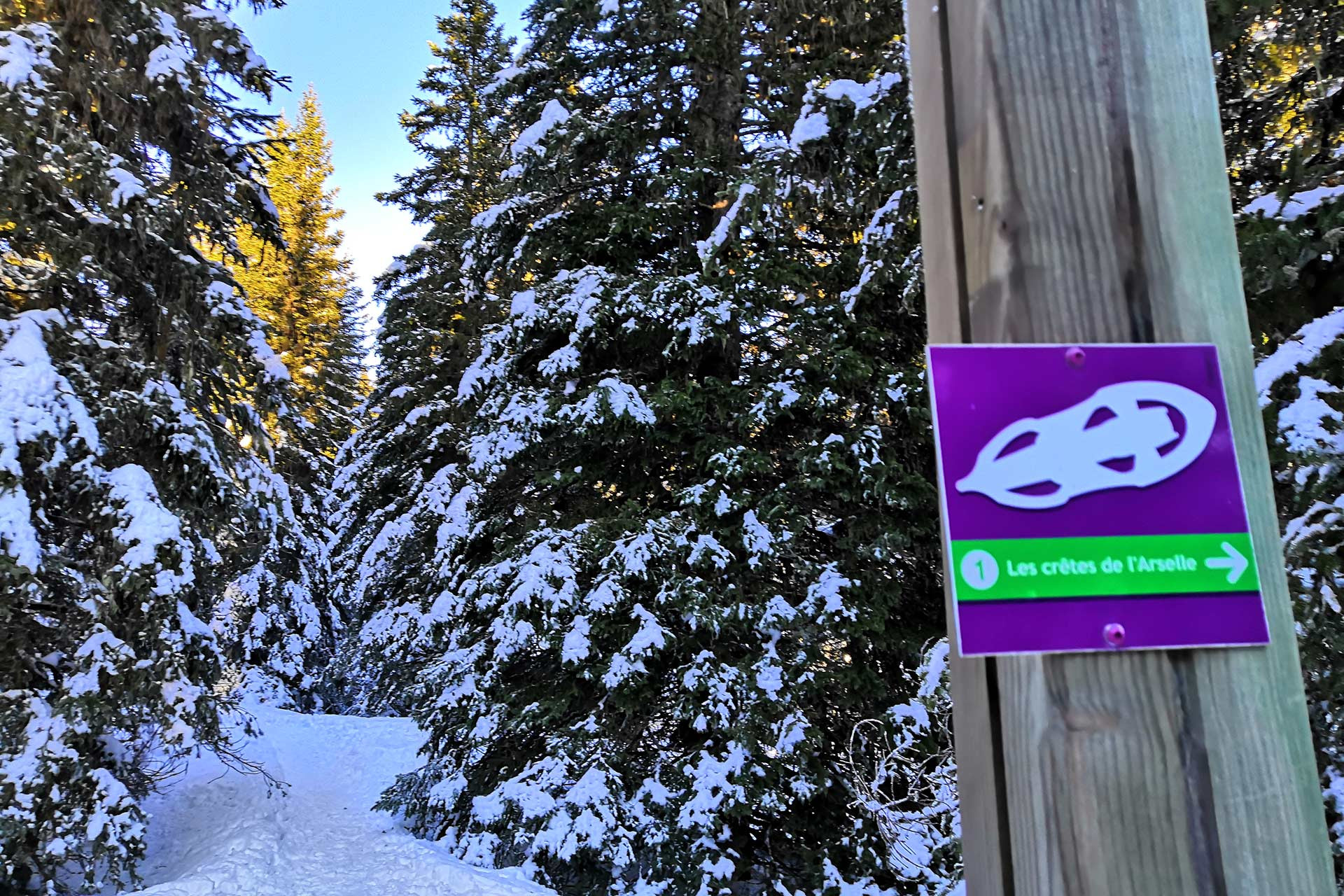 Crêtes de l'Arselle Schneeschuhpfad Chamrousse