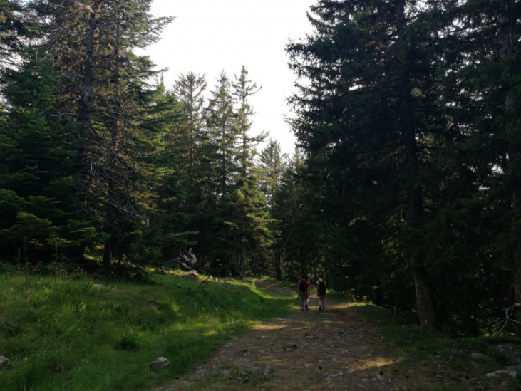 Sentier de liaison Sentier de liaison
