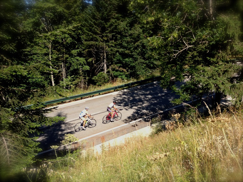 Vélo de route Vélo de route