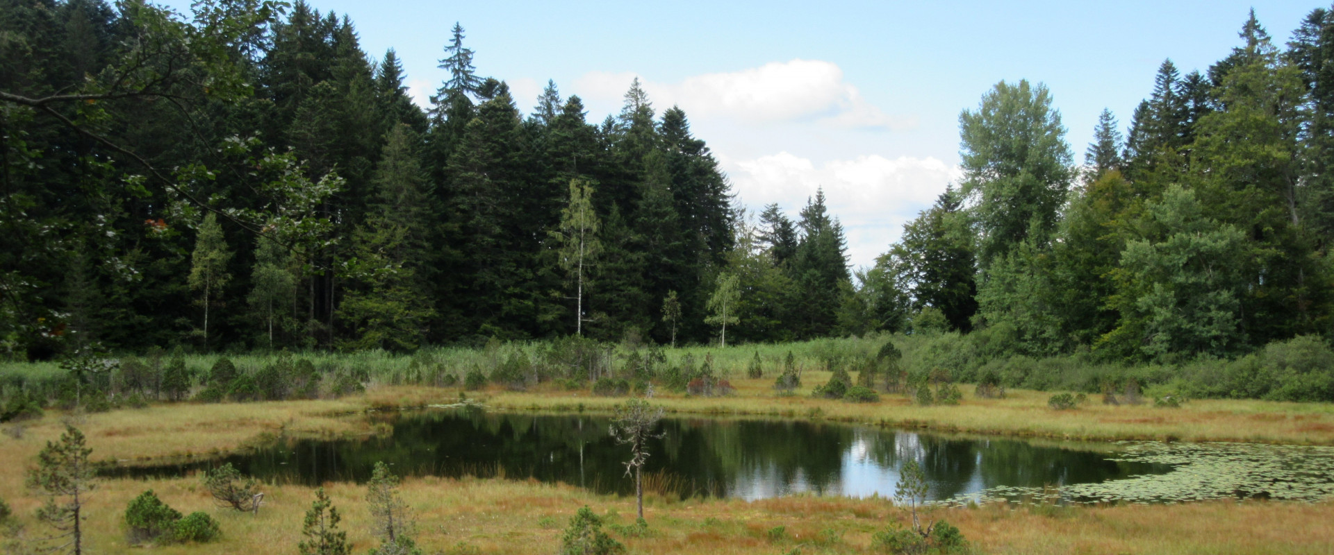 Le Lac Luitel et sa tourbière - © Etienne Baudon - Domaine Public Le Lac Luitel et sa tourbière