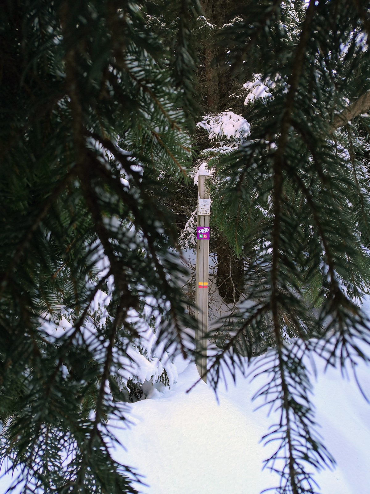 Chamrousse sunset romantic walk Arselle plateau winter mountain ski resort isere french alps france