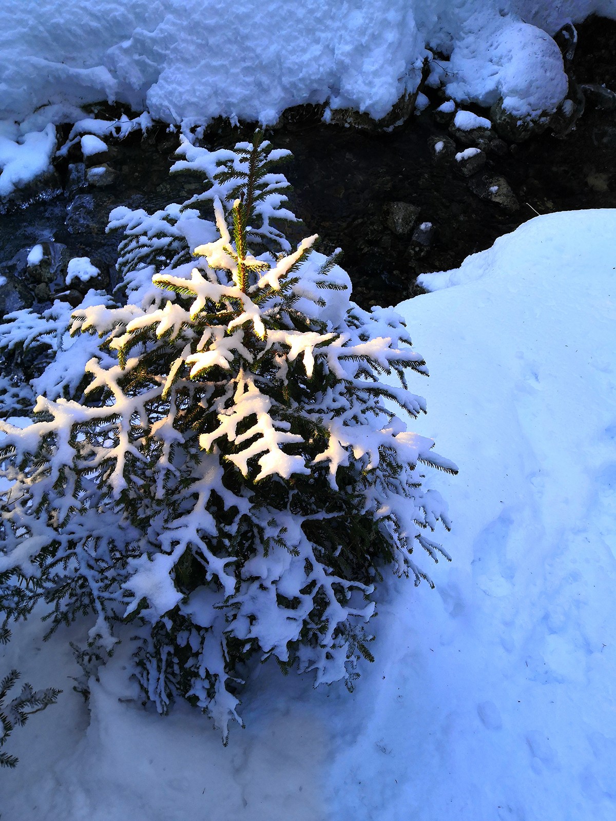 Chamrousse sunset romantic walk Arselle plateau winter mountain ski resort isere french alps france