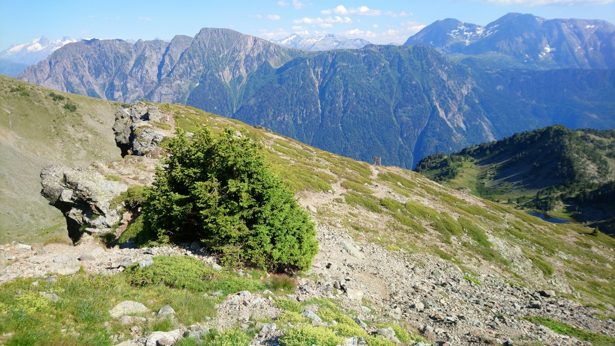 Chamrousse via ferrata walk access - © SD - OT Chamrousse Chamrousse via ferrata walk access summer resort grenoble isere french alps france
