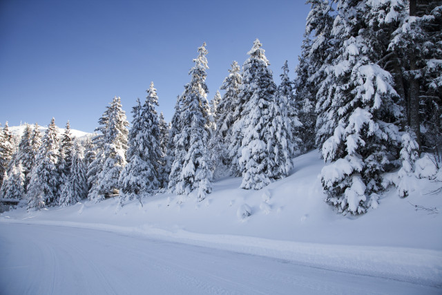 Arselle walking path