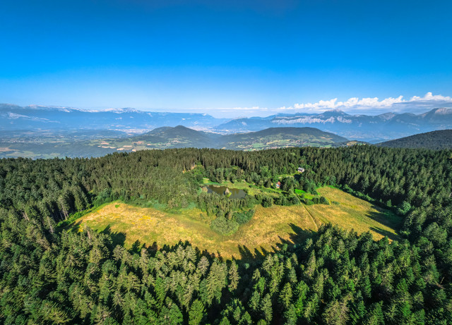 L'image montre une vaste étendue de forêt avec un petit lac au milieu. On peut voir des montagnes en arrière-plan.