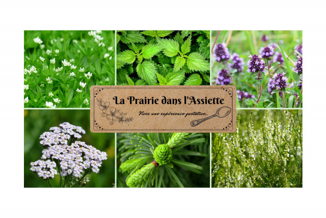 Producteur Producteur