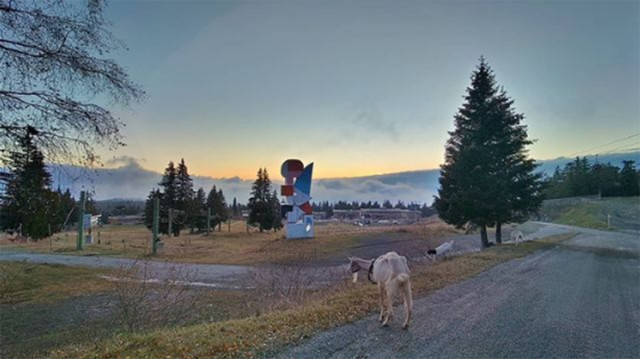 Chamrousse Bachat-Bouloud totem - © Villages du Bachat by Poppins Chamrousse Bachat-Bouloud totem