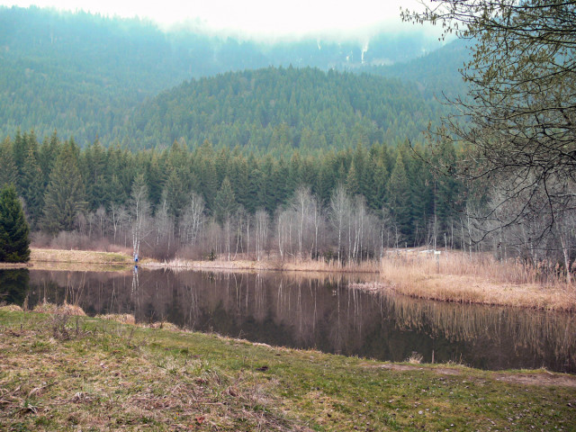 Seiglières swamp - © OT Uriage Seiglières swamp