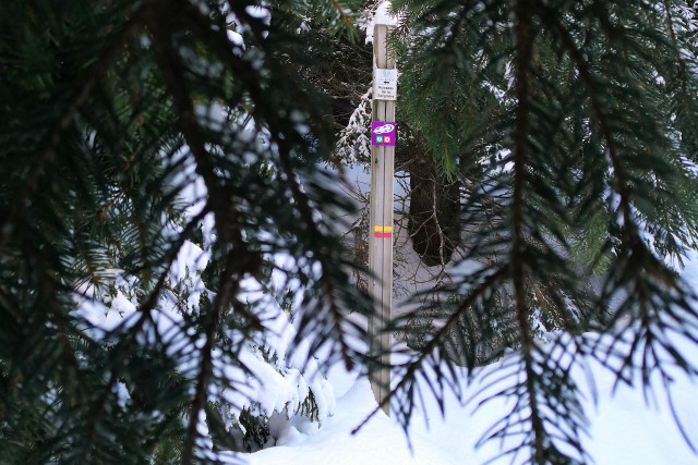 Pfad Arselle Schneeschuhwandern Chamrousse