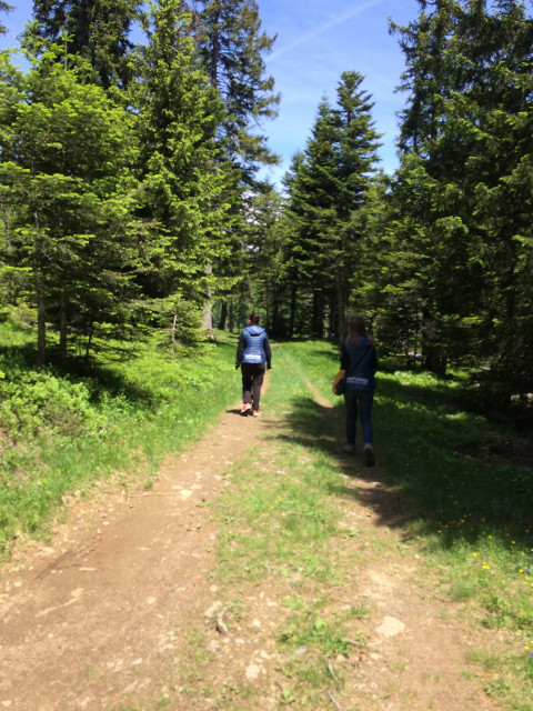 Arselle summer walking path - © Farouka Julien - OT Chamrousse Arselle summer walking path