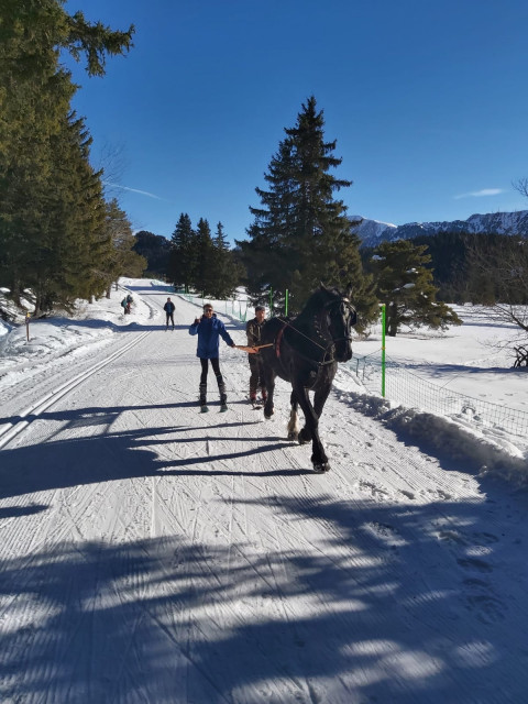 Carriage + Ski Joering ''La liaison''_Chamrousse