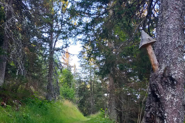 Sentier du renard Chamrousse 1650-1750