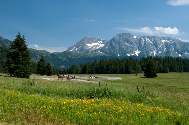 The Arselle's plateau in summer - © images-et-reves.fr The Arselle's plateau in summer