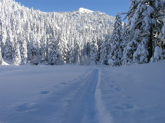 Clairières - © Office de Tourisme Chamrousse Clairières