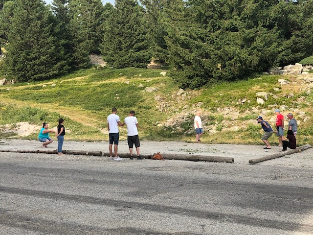 Résidence ''la Bérangère''